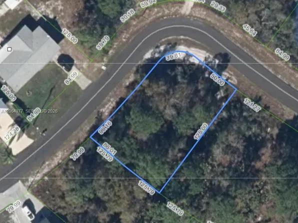 220 E Canal Way NE, Lake Placid, FL 33852