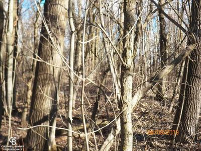 Hough Rd, Allenton, MI, 48002