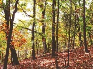 0 Laurel Ridge Rd, Cleveland, GA 30528