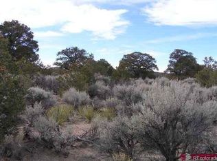 3784 Ice House Rd, Fort Garland, CO 81133