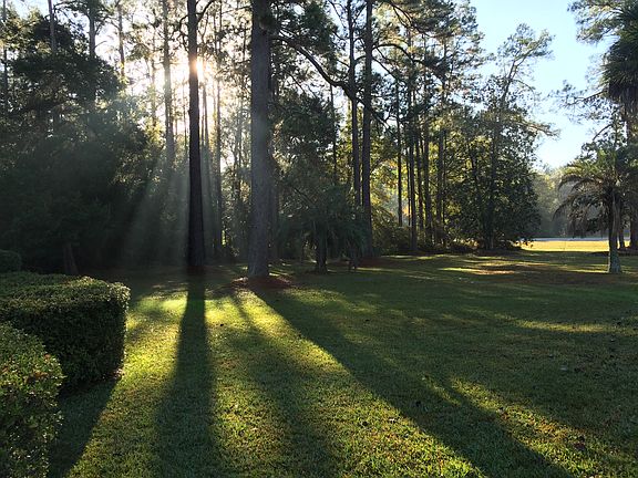 Looking out Kitchen Window