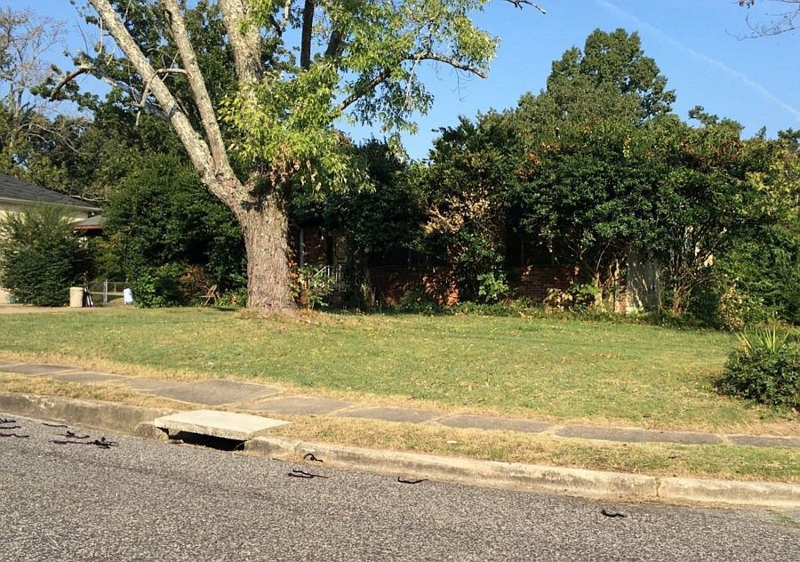 2nd image of 300 Westchester Dr
