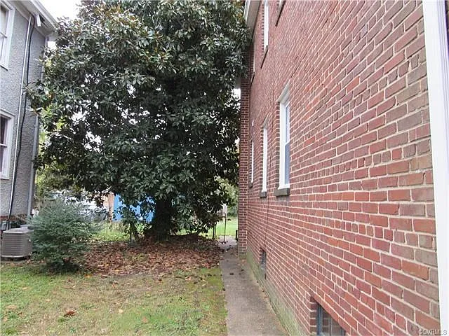 Nice foliage