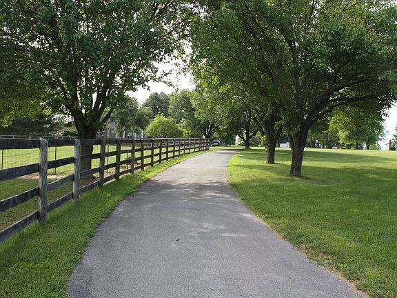 Pear tree lined driveway