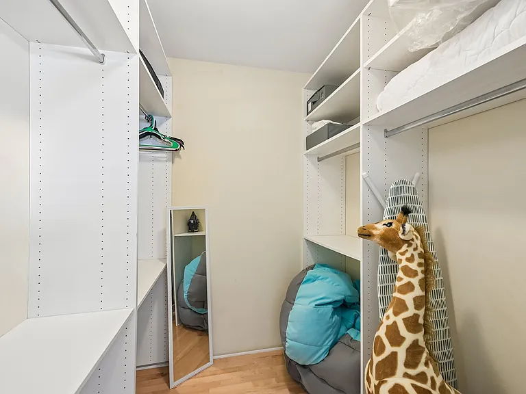 Primary walk - in closet