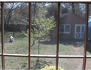 2nd image of 5741 Craneybrook Ln