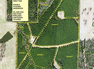 Dixie Ln, Hallsville, TX 75650
