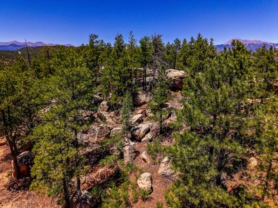 Timber Valley Dr #43C, Weston, CO, 81091