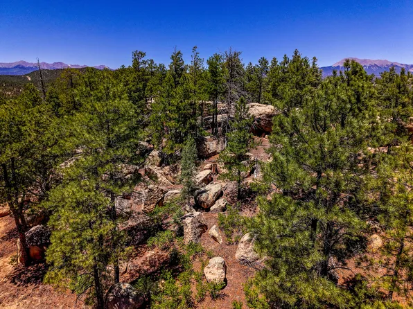 Timber Valley Dr #43C, Weston, CO 81091