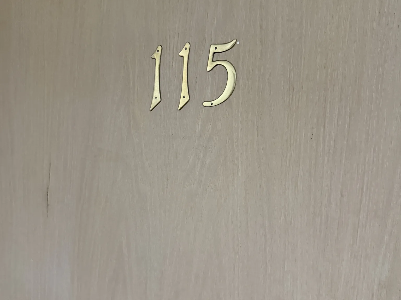 1230 Woodland Drive - 115 — Photo 2