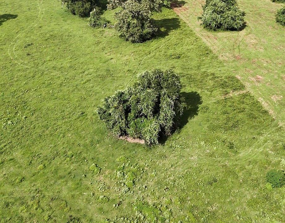 1st image of 873 Jones Rd