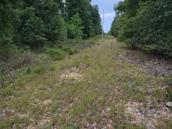 000 County Road 2530, Mountain View, MO 65548