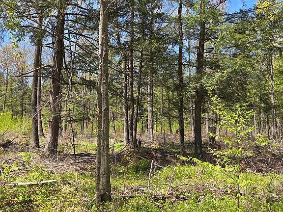 4th image of Circle Dr #10ACRES