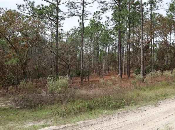 0 SW 127th Ave #3, Dunnellon, FL 34432
