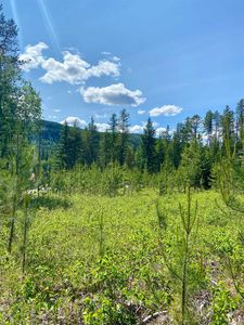W Joyner Dr, Cusick, WA, 99119