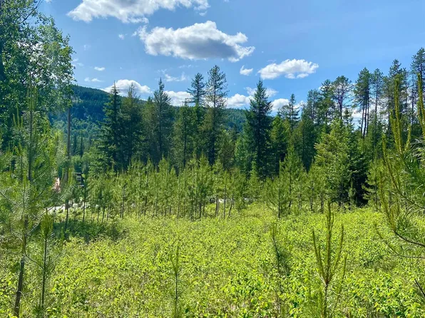W Joyner Dr, Cusick, WA 99119