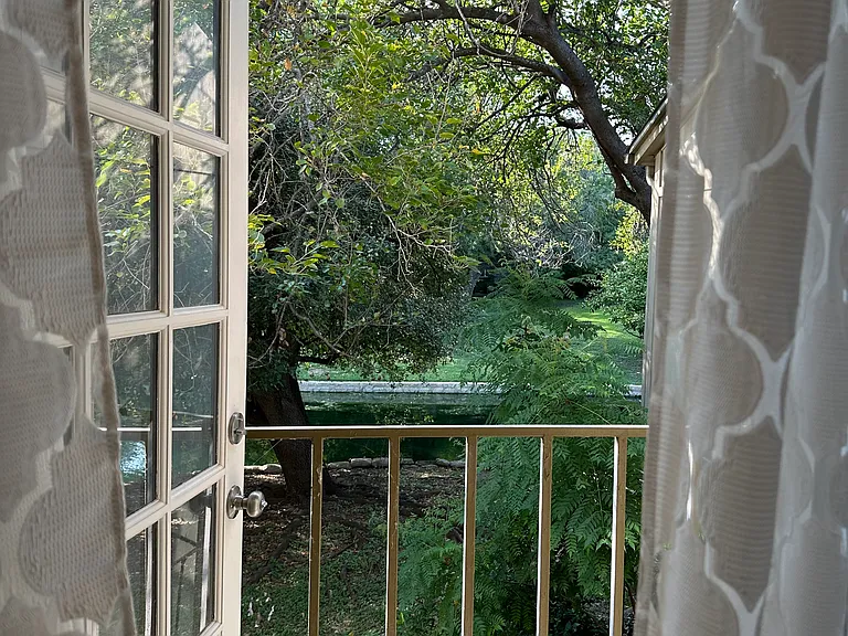 View of pond from primary bedroom balcony.