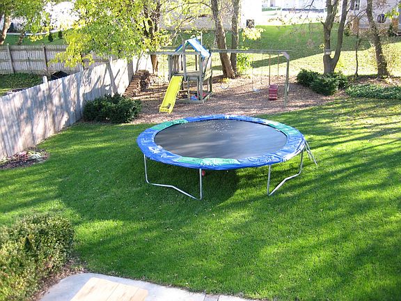 Back yard