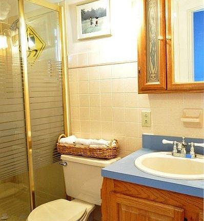 1st floor master bathroom