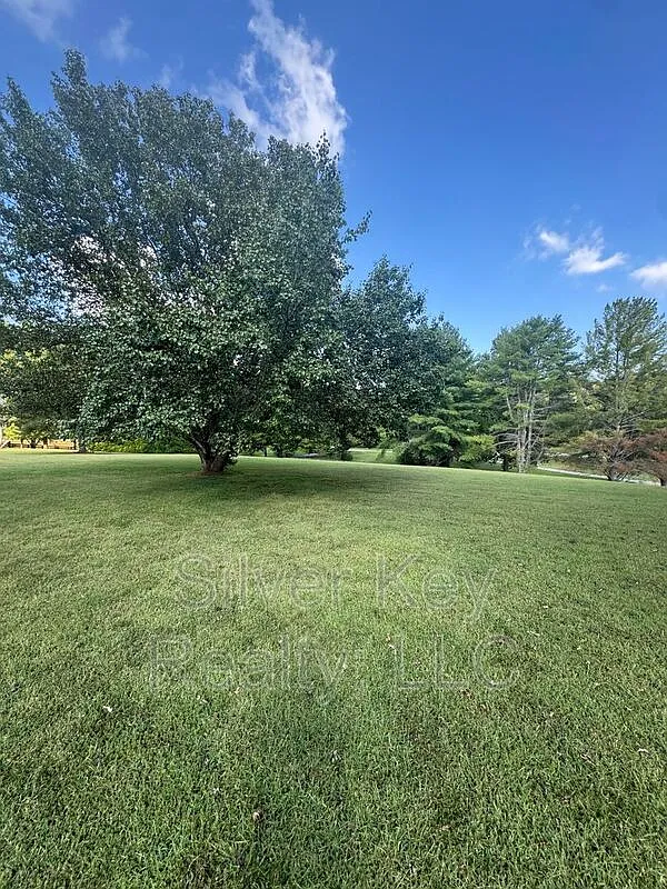 3 bed, 2.0 bath, 2000 sqft, $2,500 — Photo 4