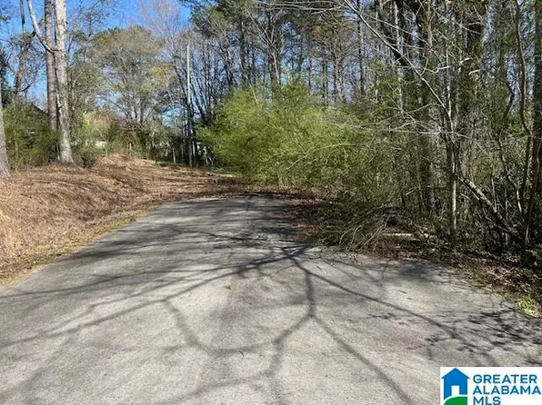 1605 W Riverview Rd #1, Trussville, AL 35173