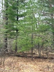 0 Otter Trail Rd, Alger, MI, 48610