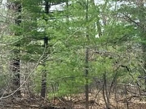 0 Otter Trail Rd, Alger, MI 48610
