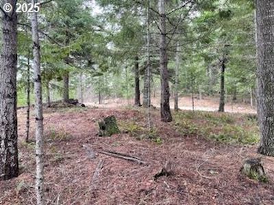 Kida Rd #2, White Salmon, WA, 98672