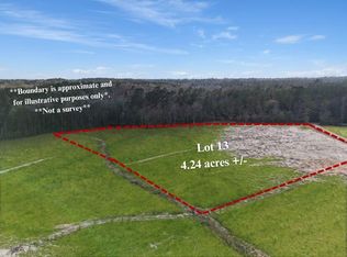 LOT 13 Highway 62, Franklinton, LA 70438