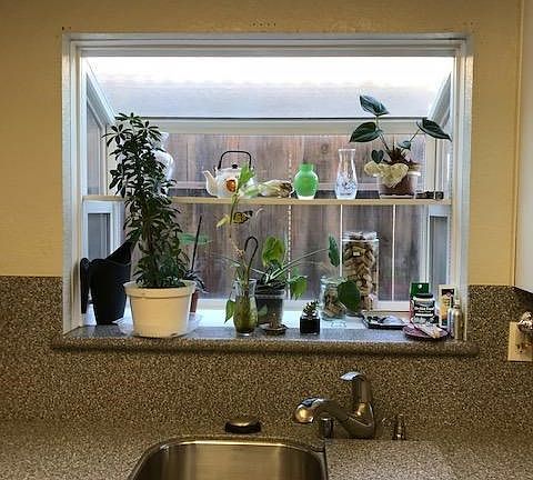 Imagine how happy your plants will be in the garden window...