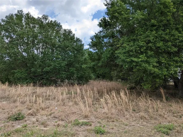 S Highway 25 Lot 6, Weirsdale, FL 32195