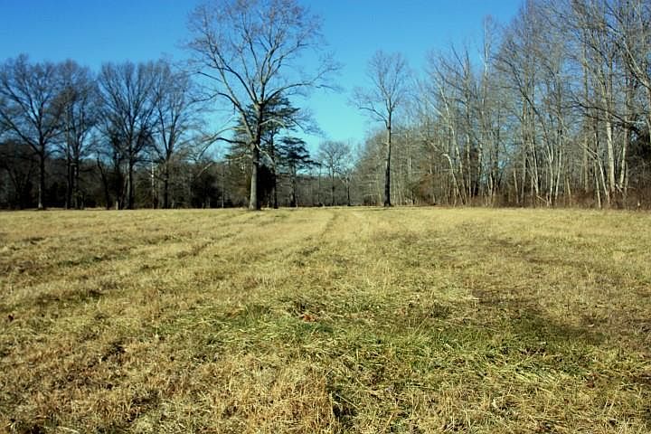 1st image of LOT 0 Kentucky Highway 82 Forge Mill