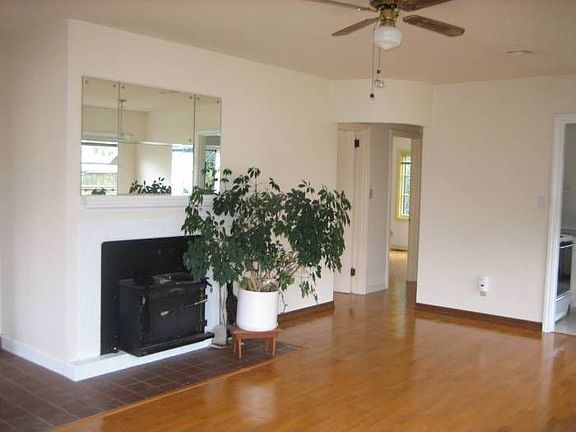 Cozy fireplace insert/LR