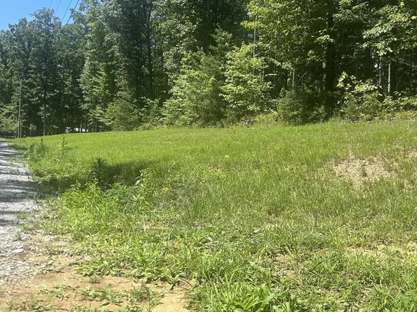 355 Partridge Trl, Grandview, TN 37337