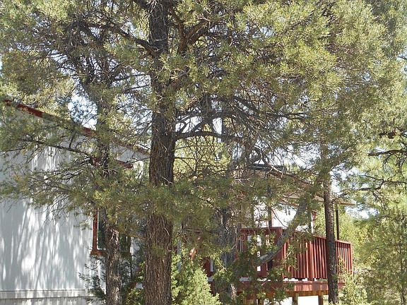 3rd image of 1980 Bradley Ln
