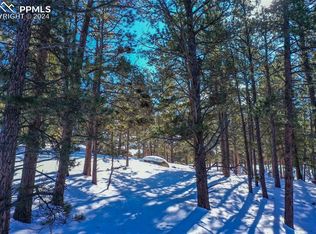 148 Rhyolite Ln, Florissant, CO 80816