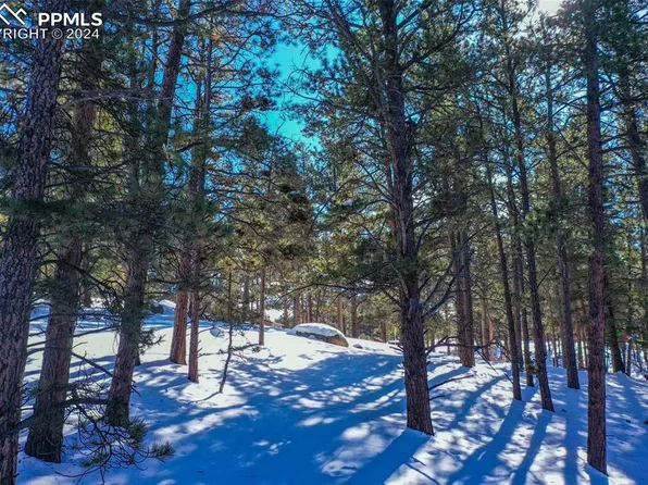 148 Rhyolite Ln, Florissant, CO 80816