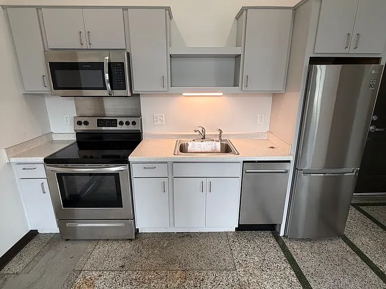 521 W 2nd Street - Leijona — Photo 61