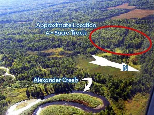 L1 B Rd #5, Skwentna, AK 99667