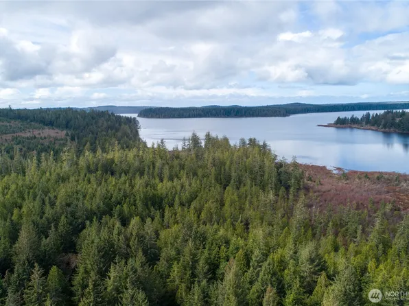 0 Swamp Road, Sekiu, WA 98381