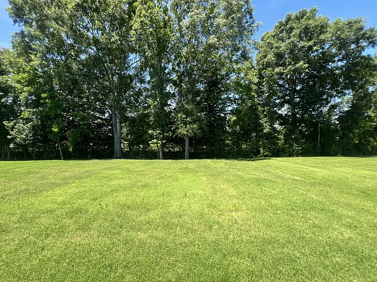 15573 Ruthie Lynn Dr — Photo 10