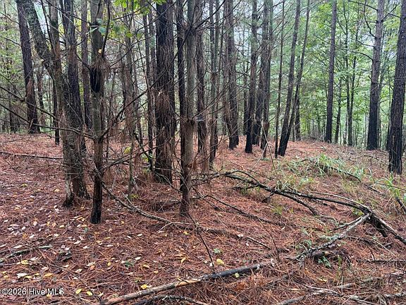 5th image of 1440 Upper Bear Paw Road