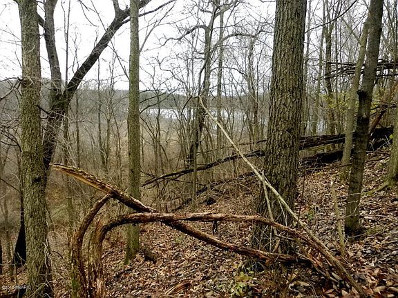 Steeply wooded hillside