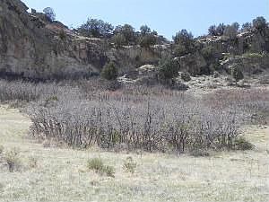1st image of 5480 Country Club Dr