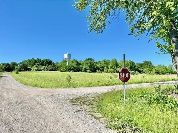 Plum, Odessa, MO 64076