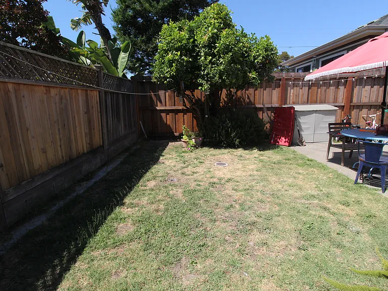 The yard in front of the cottage.
