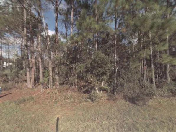 3 LLESTONE PATH LOT 10, PALM COAST, FL 32164