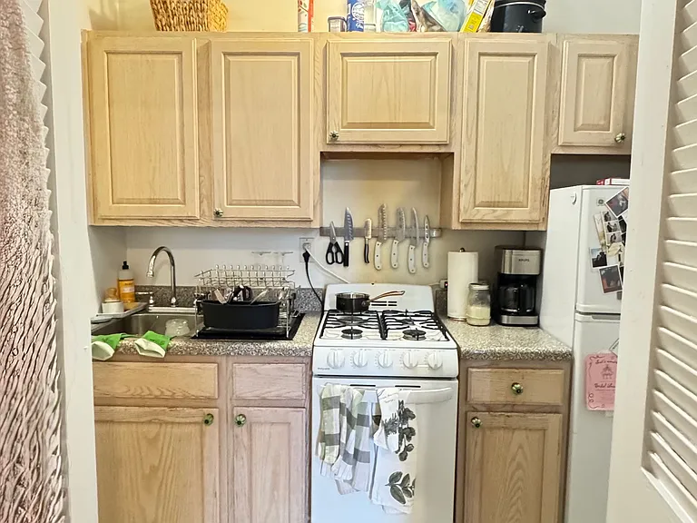 341 E 19th St #3A — Photo 5