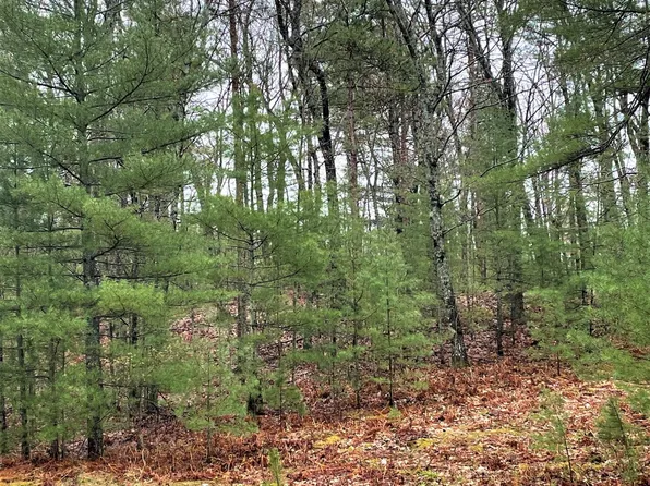 980 Wintree Dr, Indian River, MI 49749