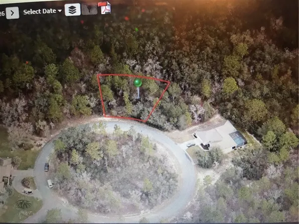 34 Cherrypalm Ct, Homosassa, FL 34446